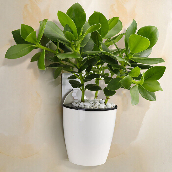 Modern Wall-Mounted Hydroponic Flowerpot