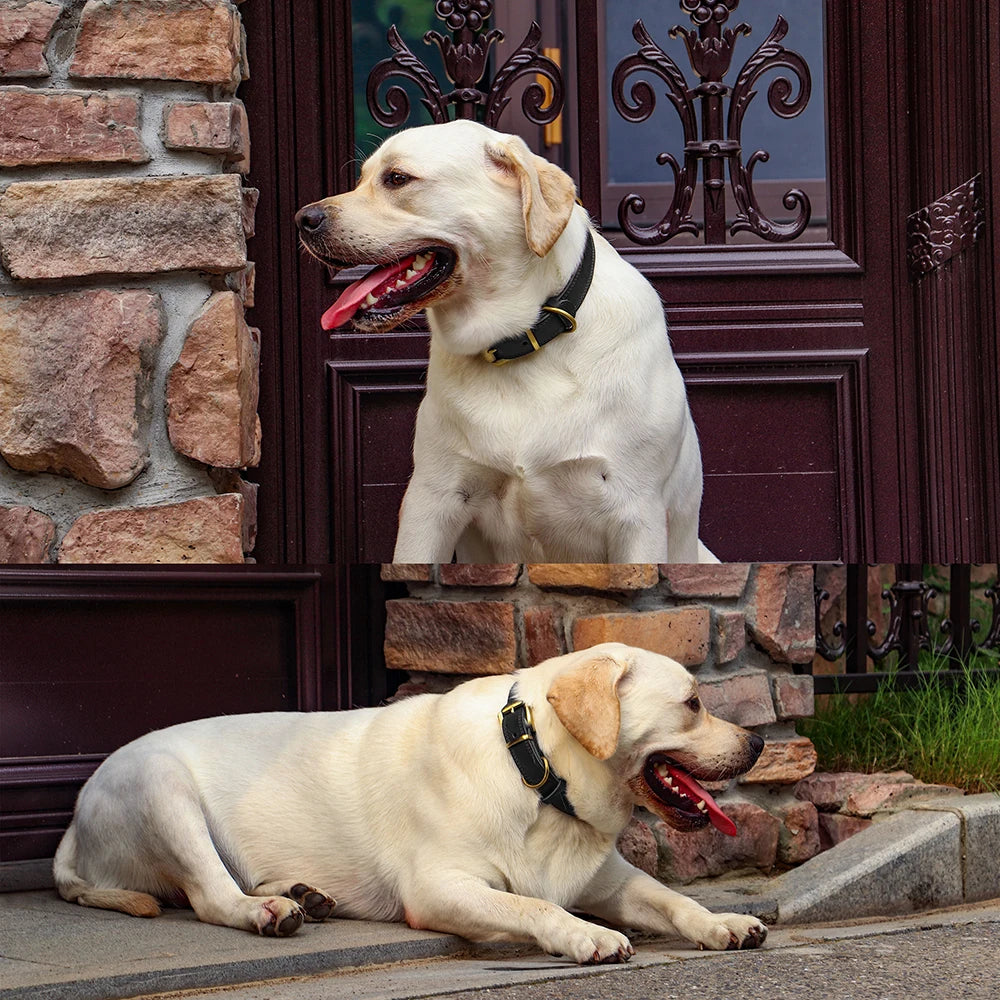 Adjustable Real Leather Dog Collar for Medium to Large Dogs