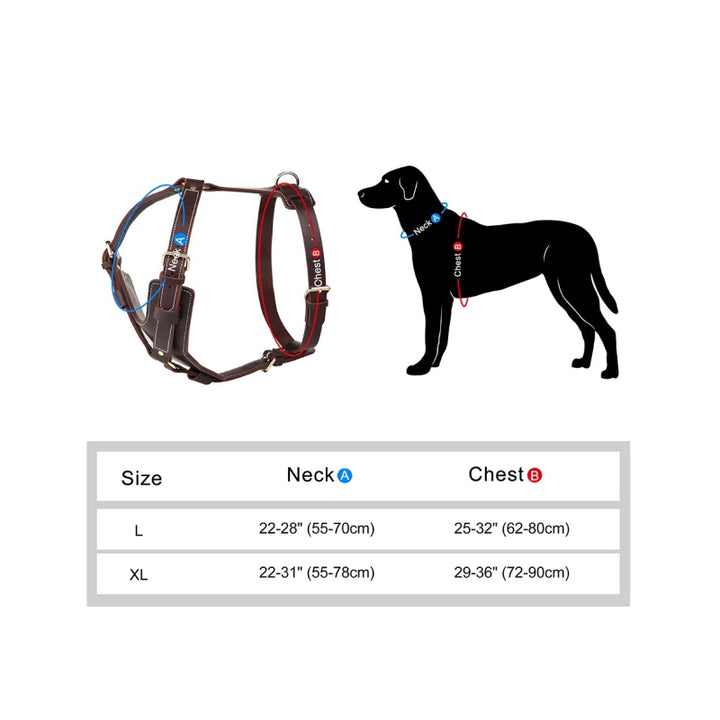 Genuine Leather Dog Harness for Large Dogs