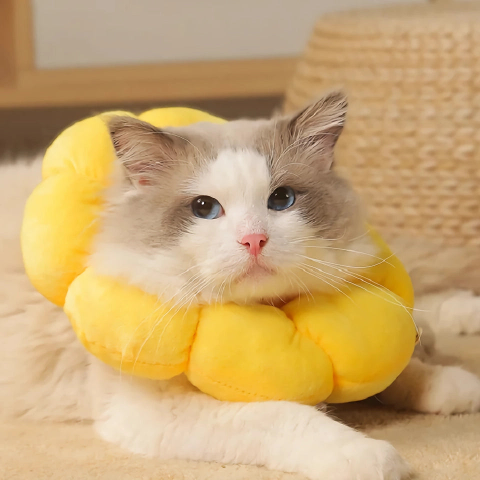 Yellow Cotton Sunflower Shaped Anti-Lick Bite Neck Collar for Cats