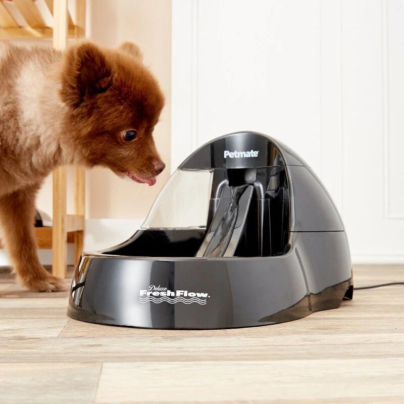 Advanced Purifying Pet Water Fountain with Quiet Operation