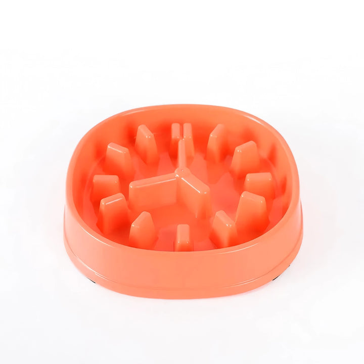 Slow Feeder Dog Bowl – Anti-Choke, Non-Slip, and Perfect for Training Pets