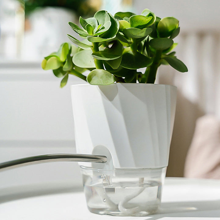 Efficient Self-Watering Transparent Planter