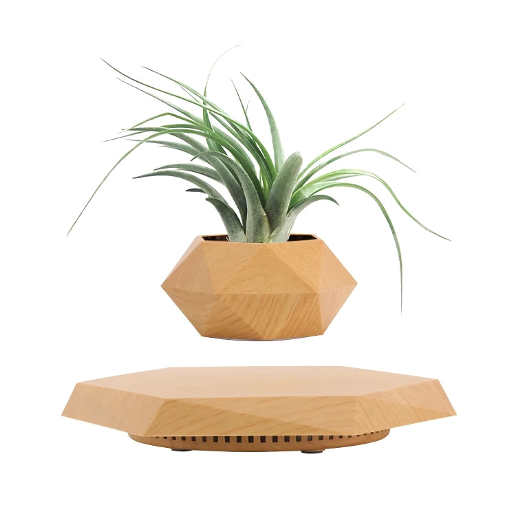 Floating Plant Pot Levitating Plant Pot for Succulents