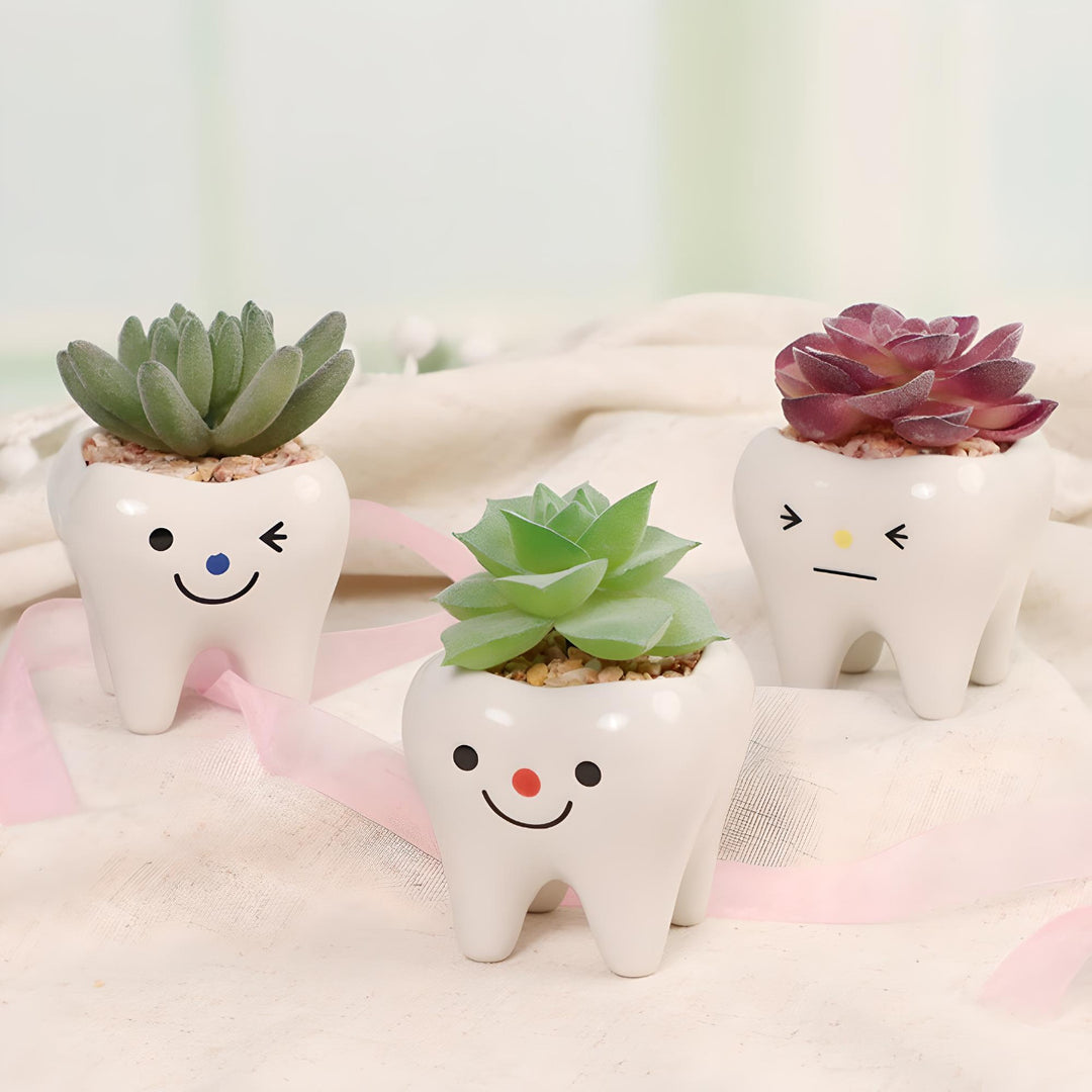 Charming Ceramic Tooth-Shaped Planter for Succulents and Cacti