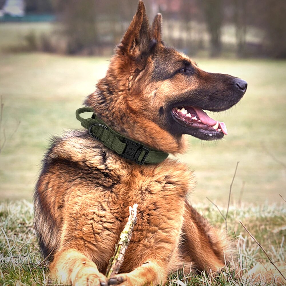 Durable Tactical Dog Harness for Medium and Large Dogs - Waterproof Nylon, Molle-Ready, No-Pull Design