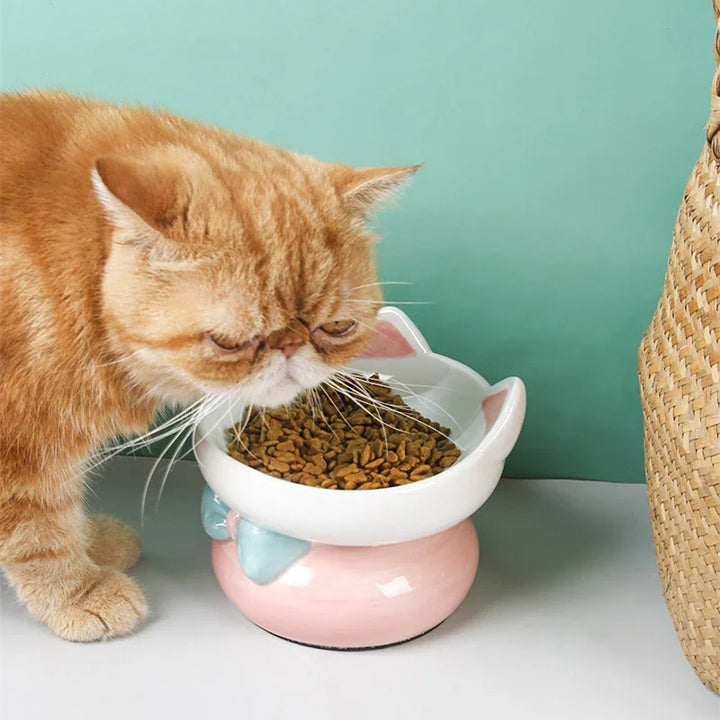 Cute Ceramic Elevated Cat Bowl