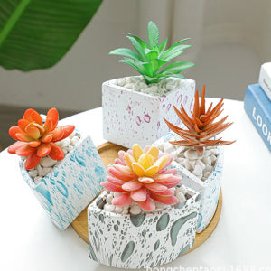 Ceramic Water Transfer Printing Succulent Flower Pot With Bamboo Tray