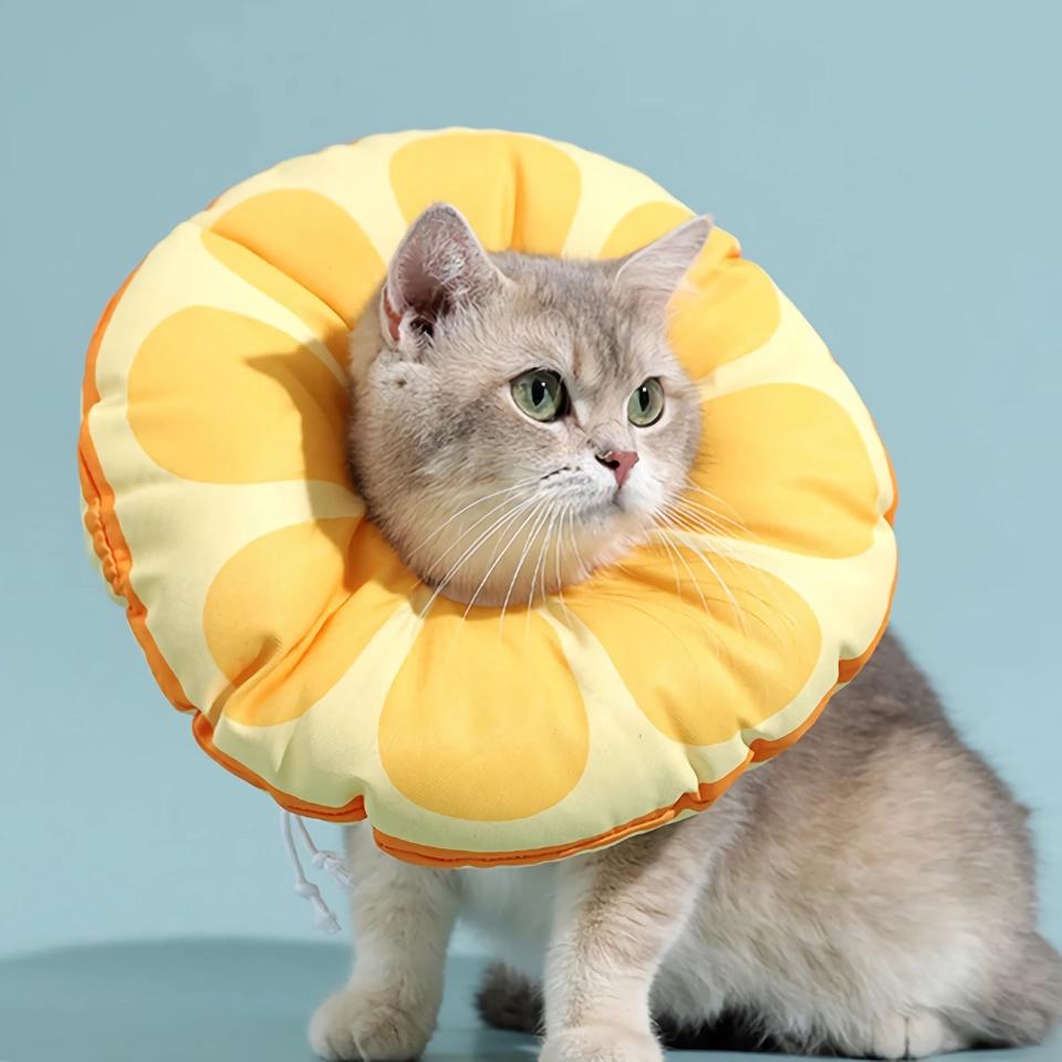 Orange Fruit Shaped Protective Neck Collar for Cats