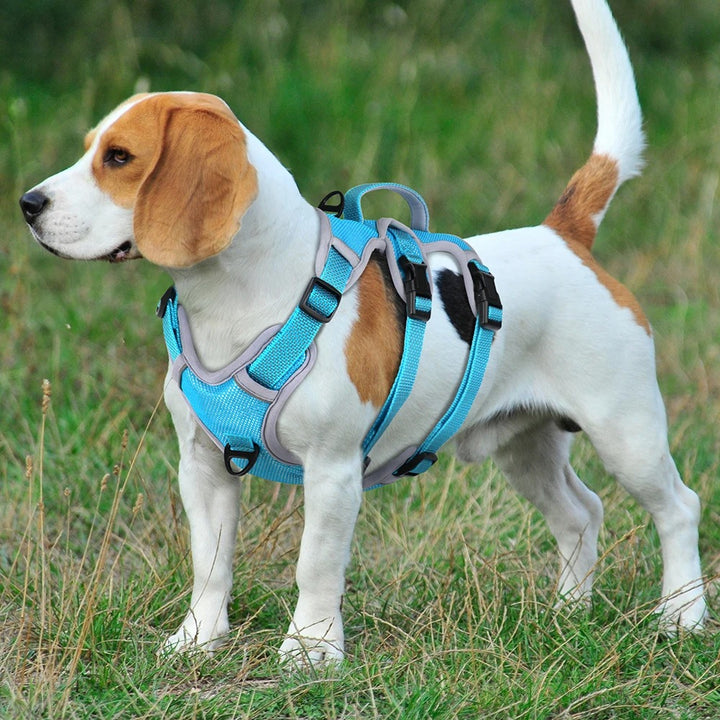 Adjustable Reflective Nylon Dog Harness for Training