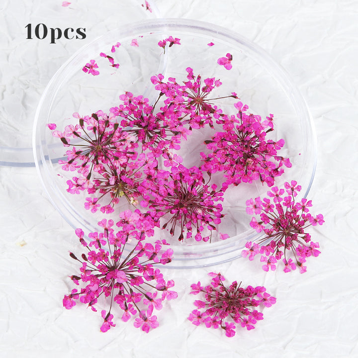 3D Dried Flower Nail Art Decorations Set