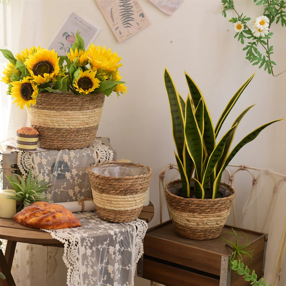 Straw Woven Plant Basket Set