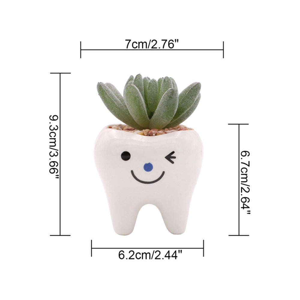 Charming Ceramic Tooth-Shaped Planter for Succulents and Cacti