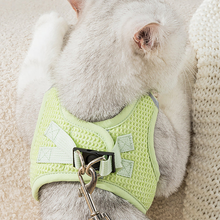 Reflective Mesh Cat & Small Dog Harness Leash Set