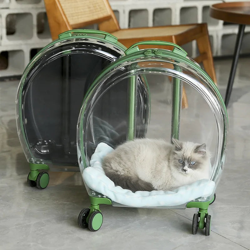 Transparent & Translucent Pet Trolley Backpack for Cats & Small Dogs