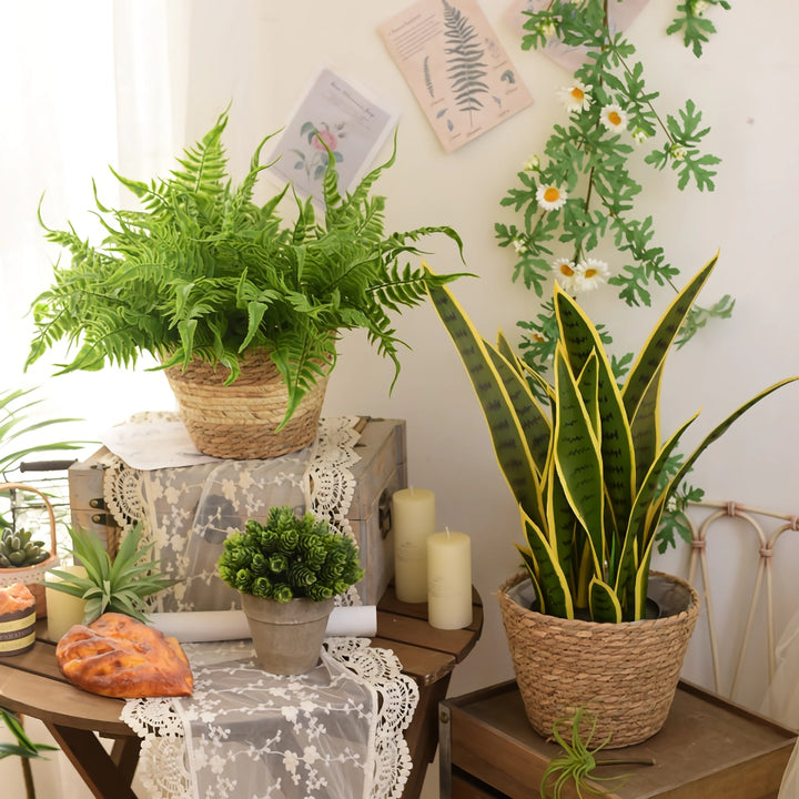 Straw Woven Plant Basket Set