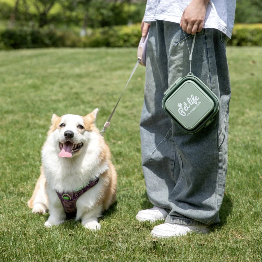 Portable Double Folding Pet Bowl