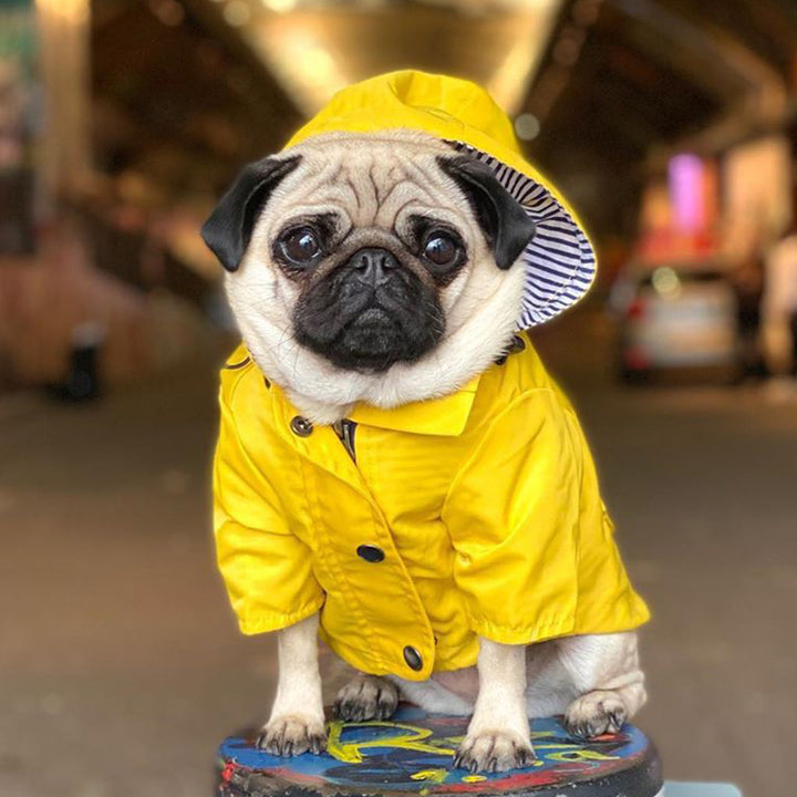 Waterproof Raincoat for Medium and Large Dogs