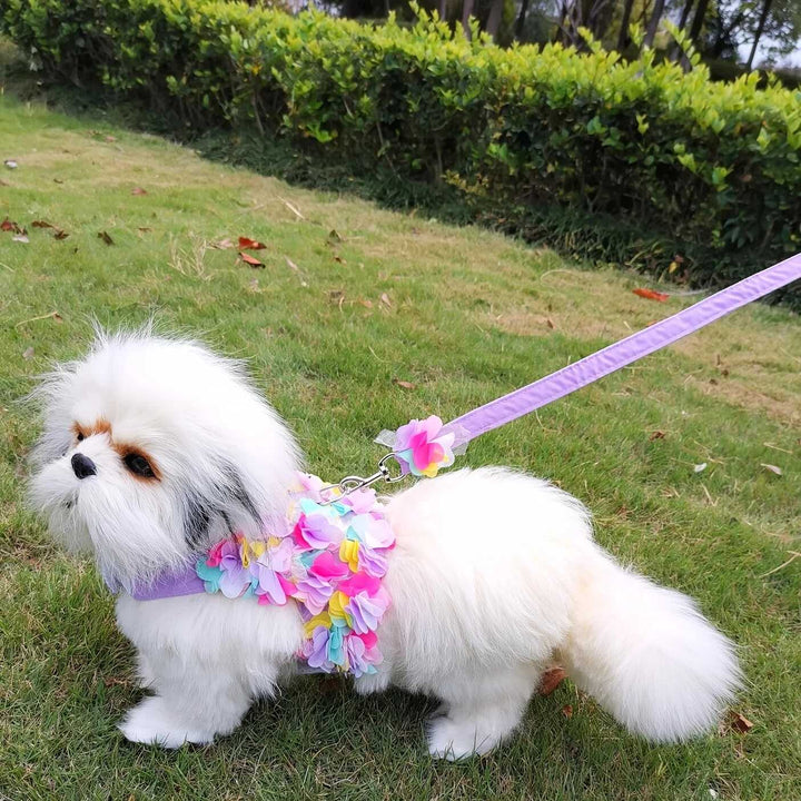 Floral Dog Harness and Leash Set - Stylish and Comfortable Pet Accessories