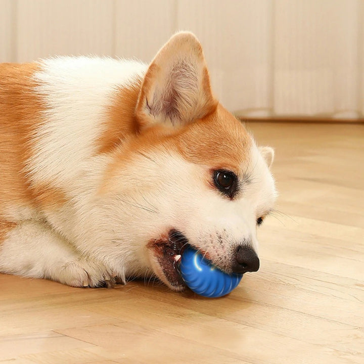 Interactive Smart Dog Toy Ball