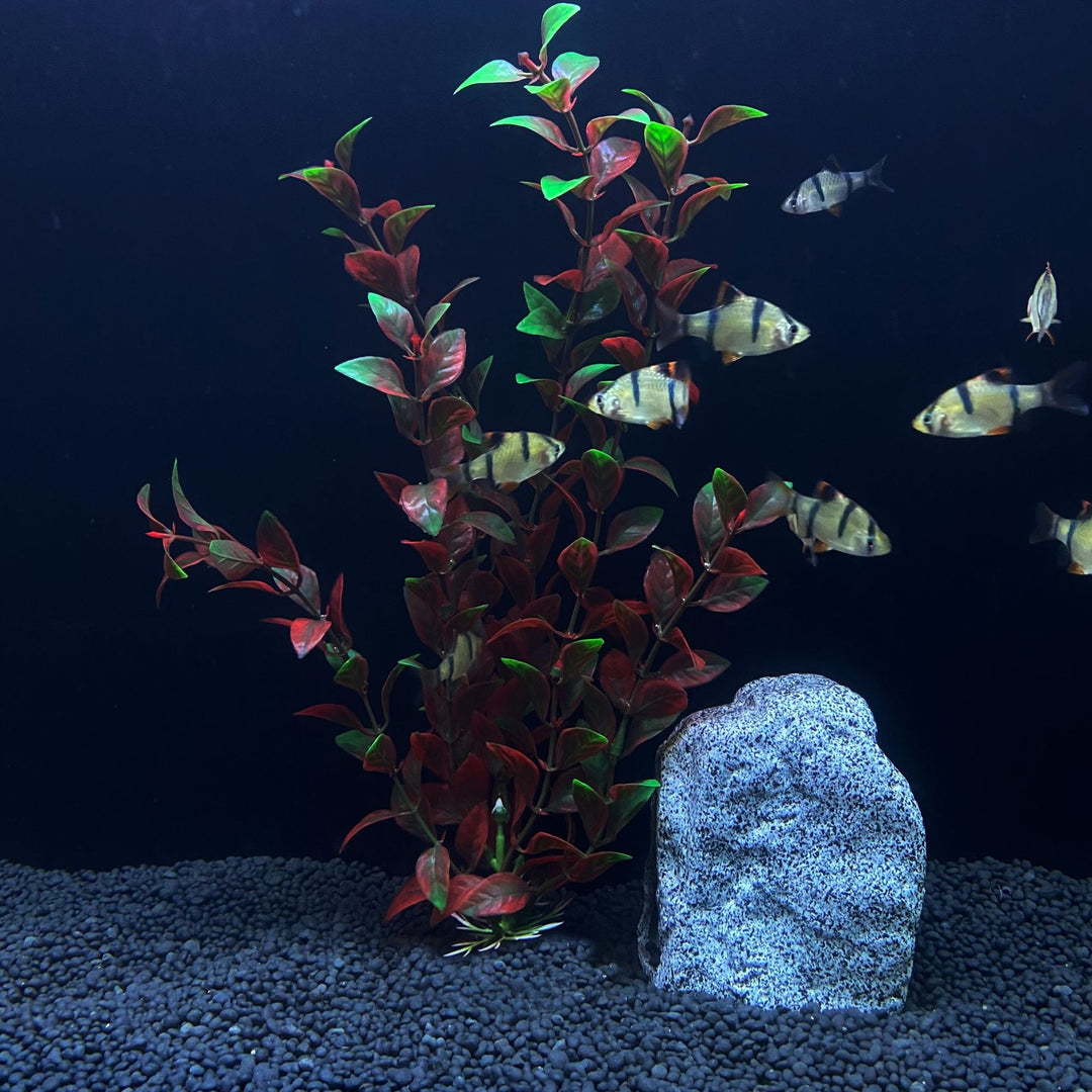 30cm High Artificial Aquarium Plant