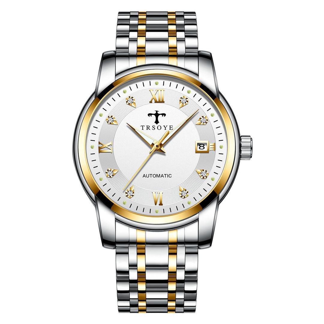 Business Luminous Waterproof Automatic Mechanical Watch