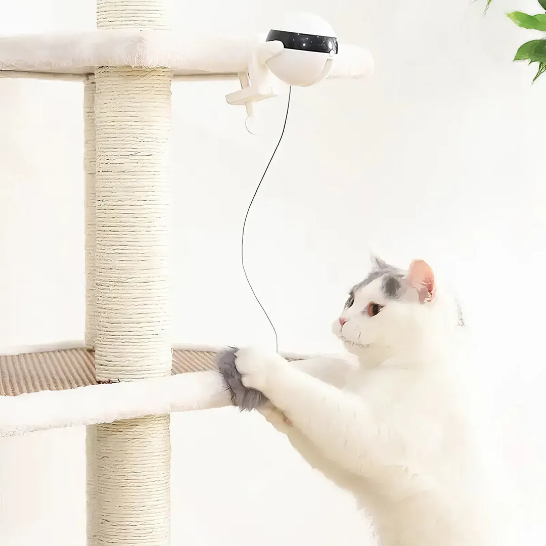 Interactive Electric Cat Ball Toy: Enticing Puzzle Smart Pet Teaser