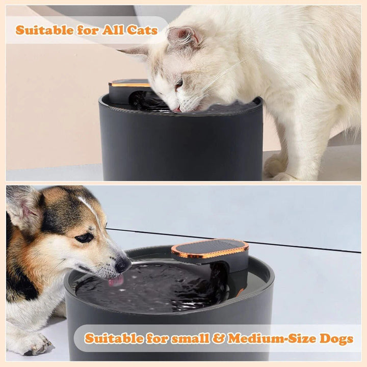 3L Smart Cat Water Fountain with Motion Sensor & LED Light