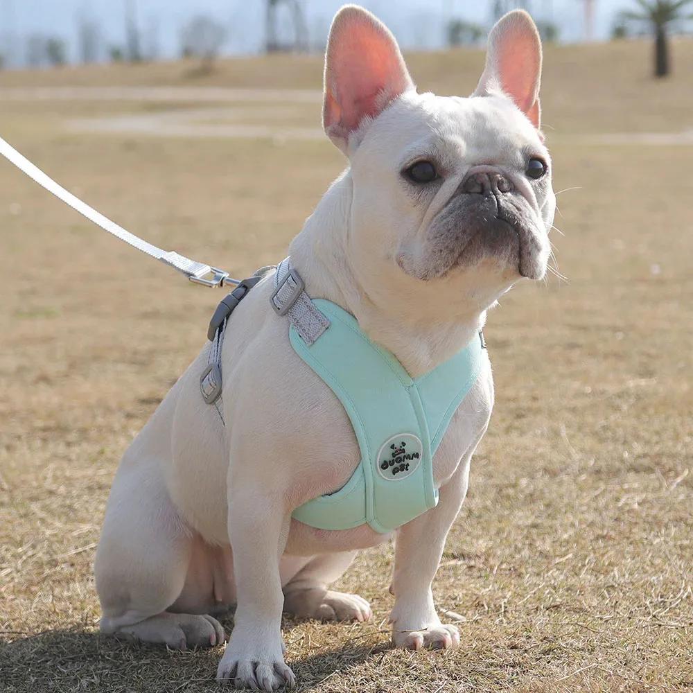 Adjustable No-Pull Dog Harness with Leash Set