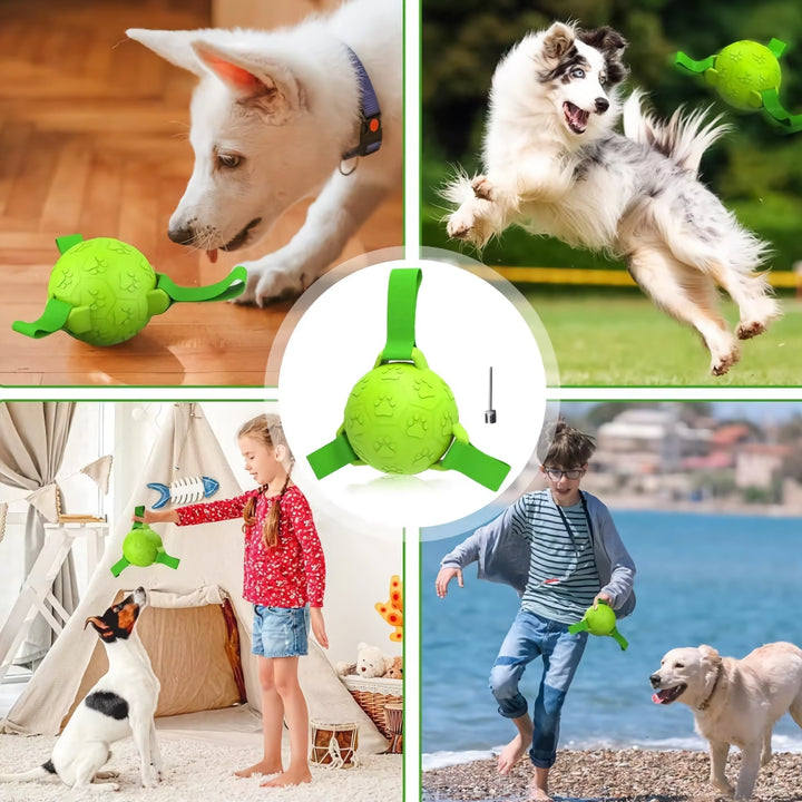 Interactive Dog Soccer Ball with Straps