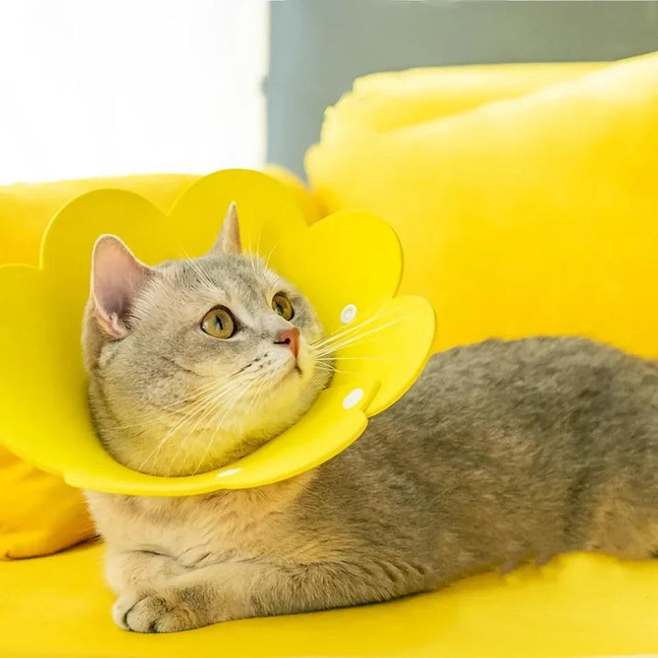 Yellow Flower Shaped Pet Protective Anti-Bite Lick Neck Collar