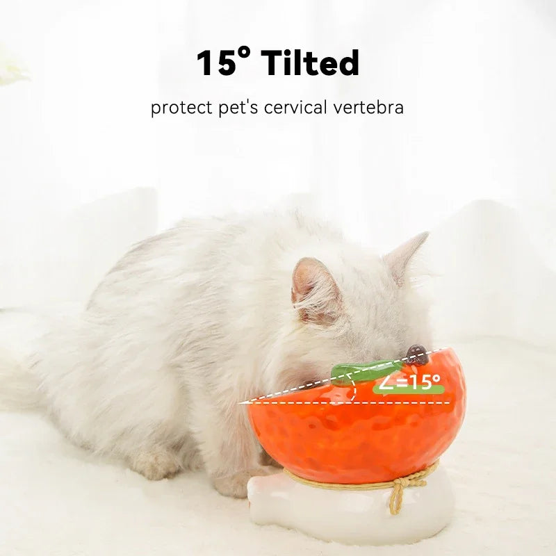 Elevated Cat Ceramic Bowl with Tilted Design for Easy Eating and Drinking