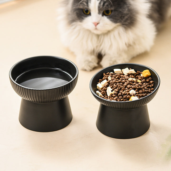 15° Tilted Elevated Cat and Small Dog Bowls