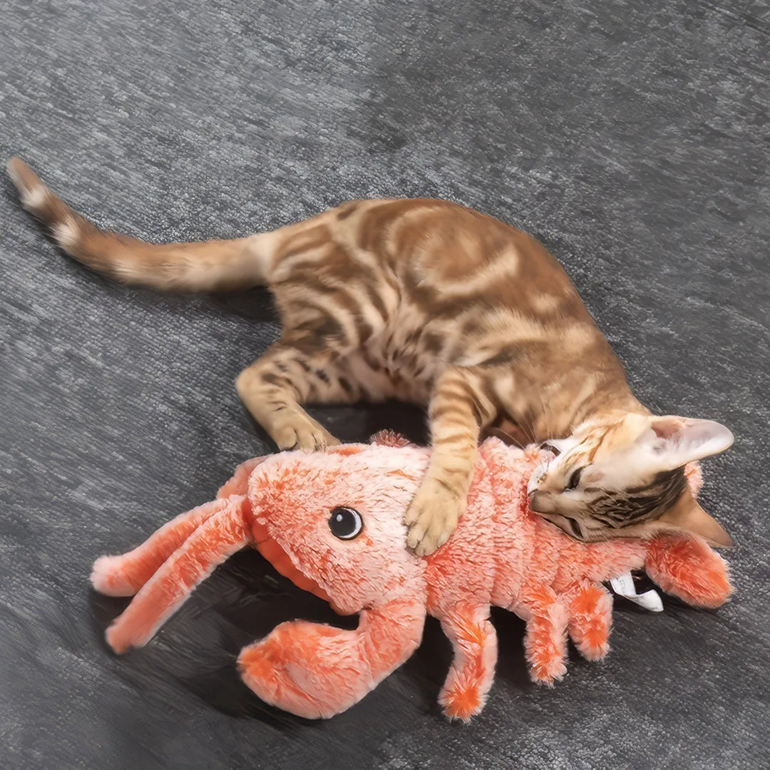 Interactive Electric Lobster Cat Toy - Entertaining Fun for Pets and Kids