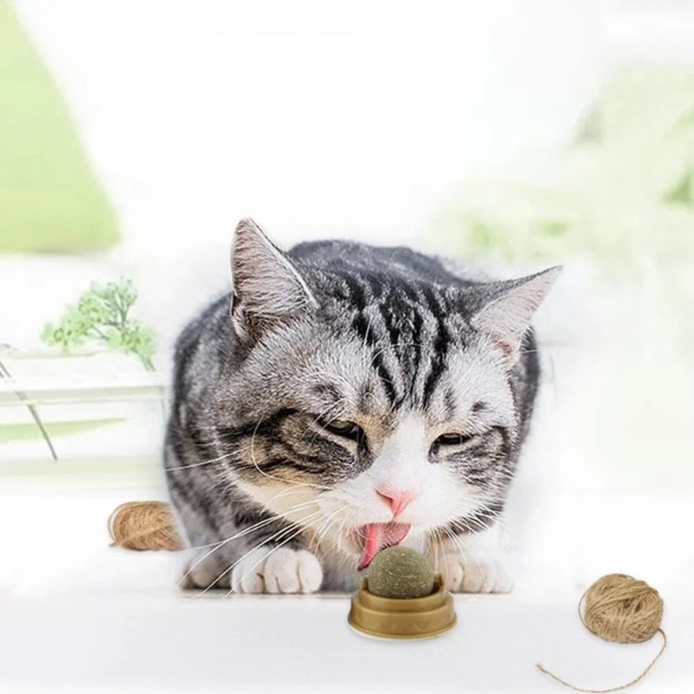 Catnip Toy Balls - Interactive Licking Snack with Molar Teeth Benefits for Cats