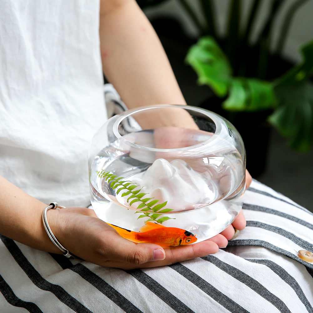 Mini Glass Fish Bowl