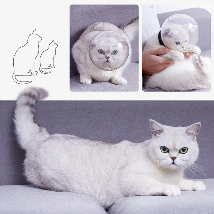 ComfortFit Transparent Cat Space Hood