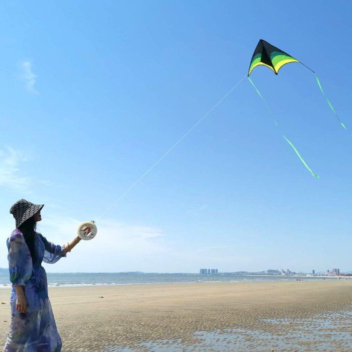 Large Delta Kite for Outdoor Sports