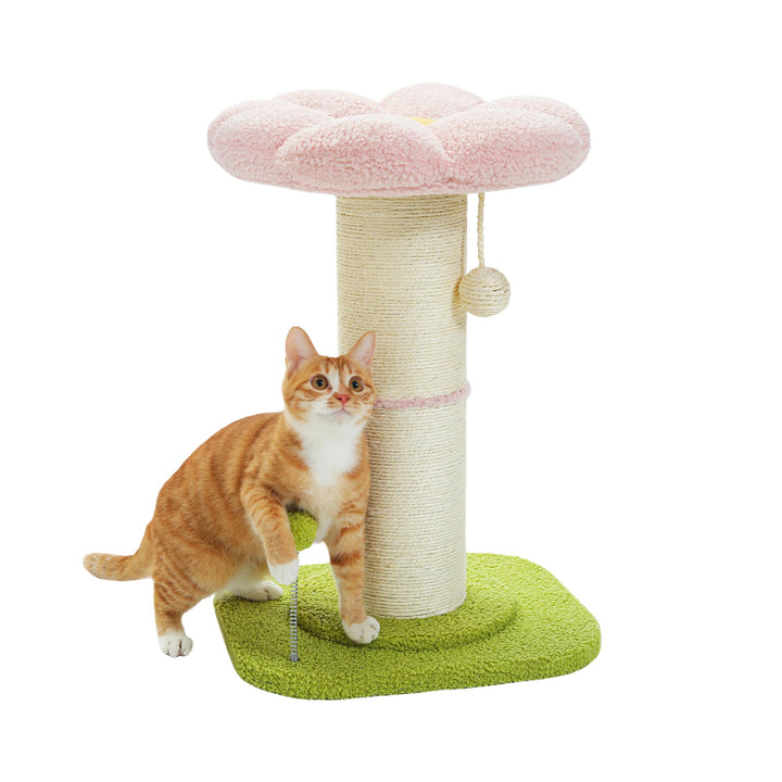 Small Cat Scratching Post with Sisal & Spring Ball Toy