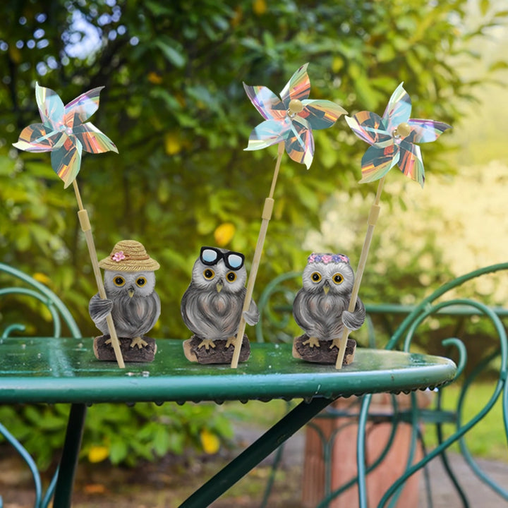 Charming Owl Resin Craft Decoration Set