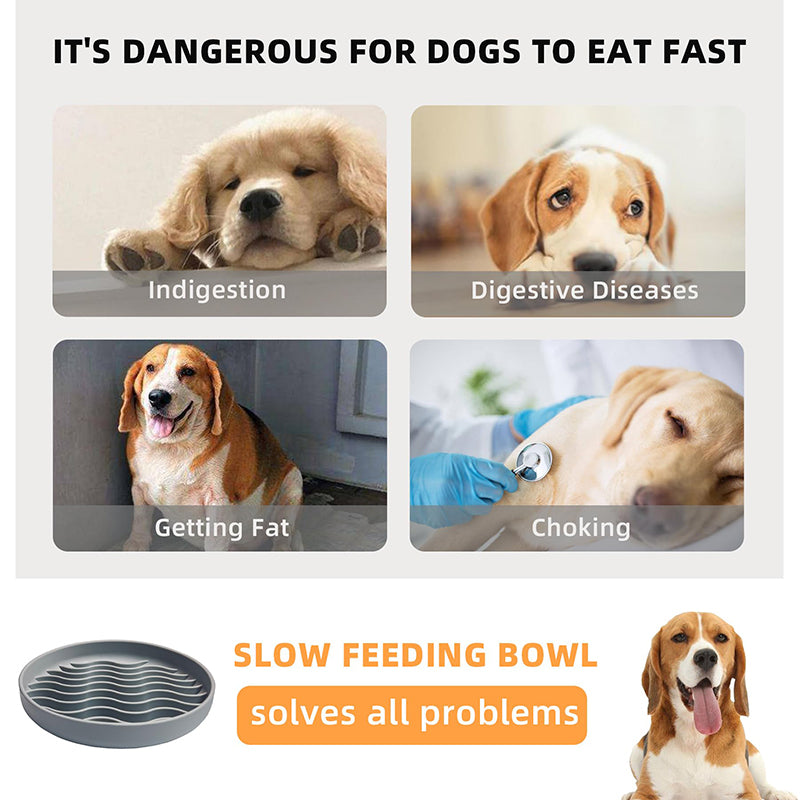 Silicone Non-Skid Slow Feeder Bowl for Dogs