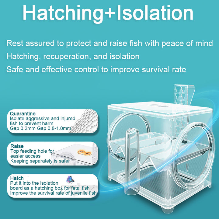 Wall-Mounted Fish Tank Isolation Hatchery