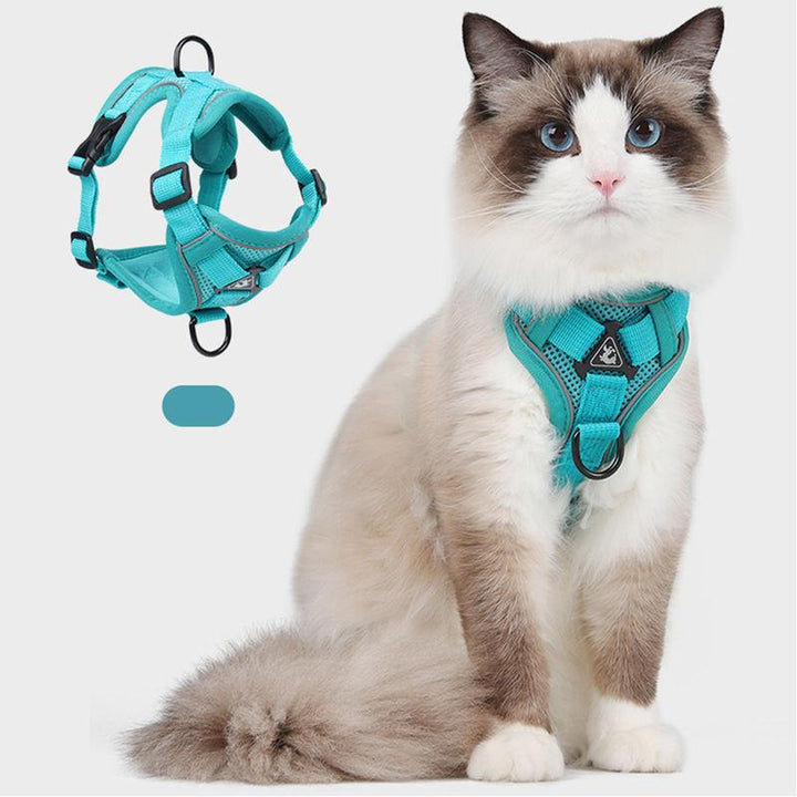 Adjustable Mesh Cat Harness and Leash Set