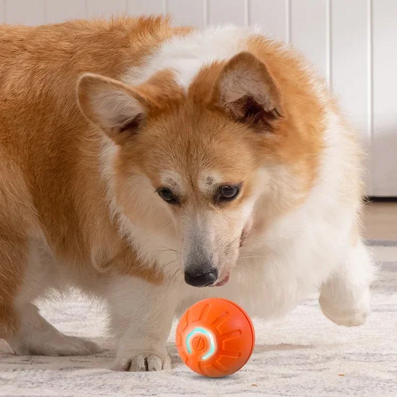 Interactive Smart Dog Ball Toy