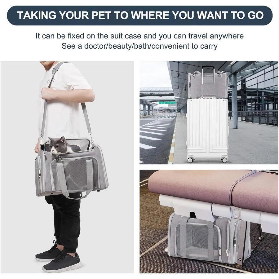 Airline Approved Pet Carrier Bag for Small Dogs & Cats