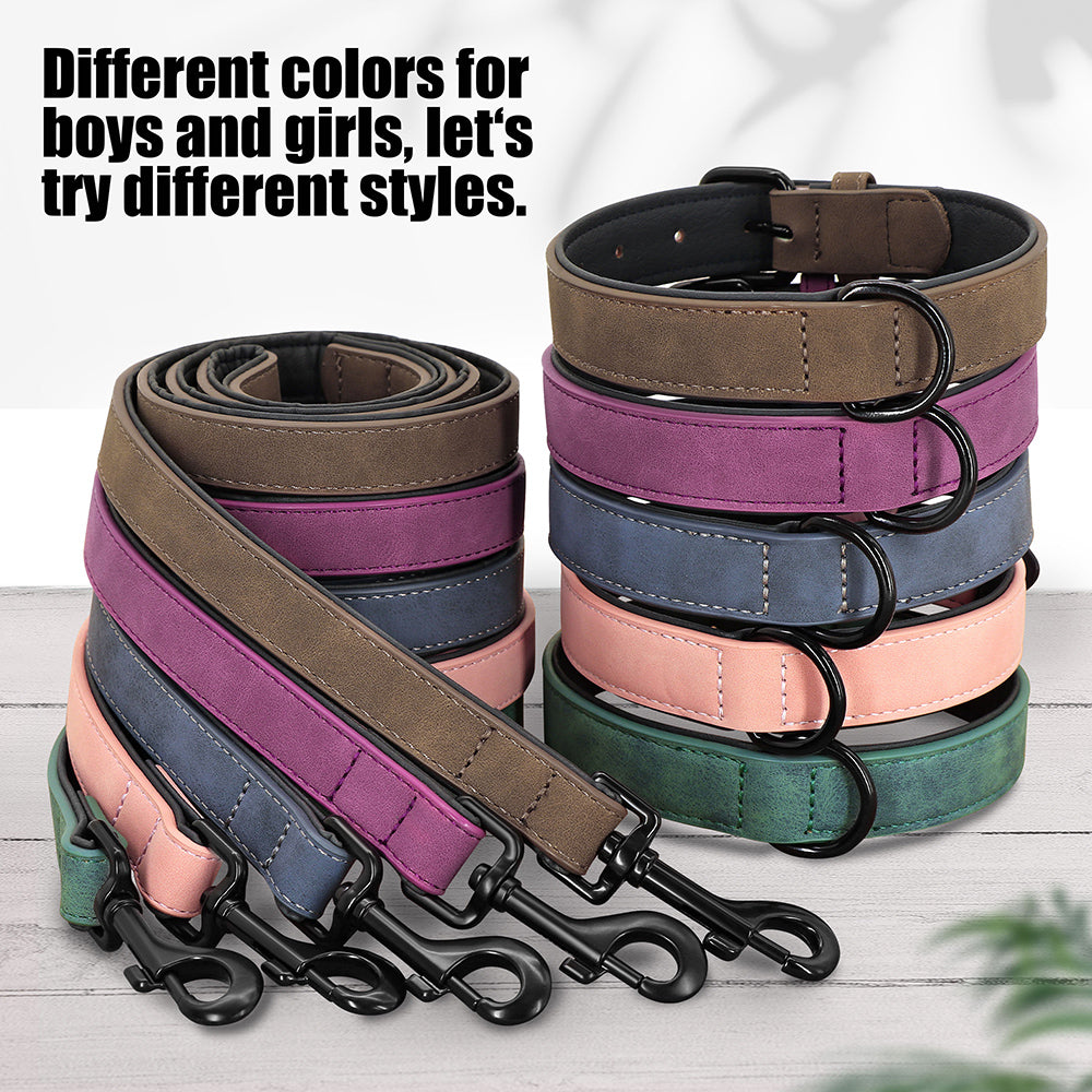 Durable Padded Dog Collar and Leash Set for Large Breeds