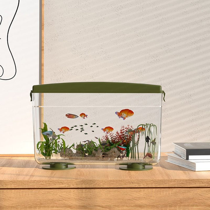 Simple Ecological Desktop Fish Tank