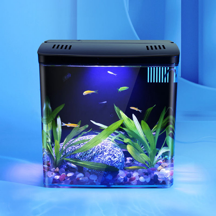 Mini Self-Circulating Fish Tank