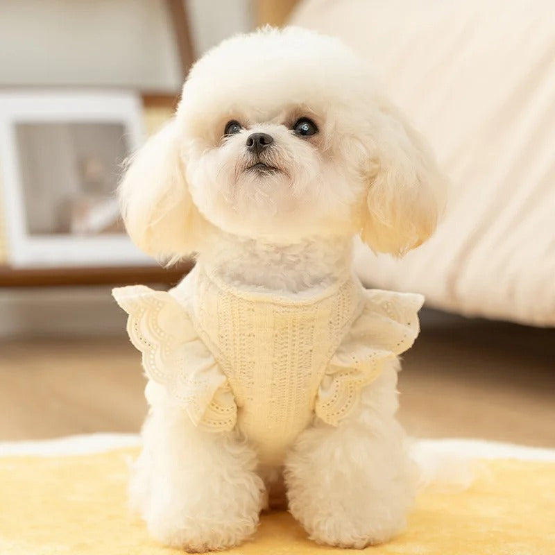 Warm Lace Vest for Small Dogs