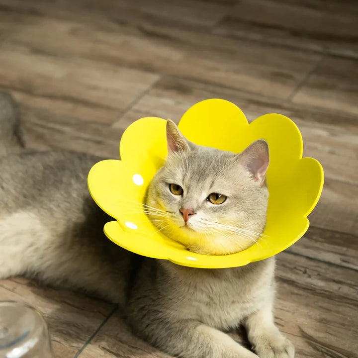 Yellow Flower Shaped Pet Protective Anti-Bite Lick Neck Collar